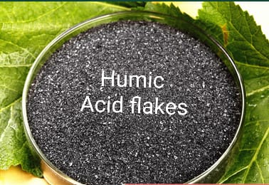 Humic Acid Flakes